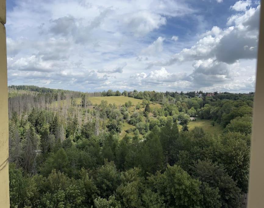 Penthouse - Panorama Suite - Hohegeiss Braunlage Esterno foto